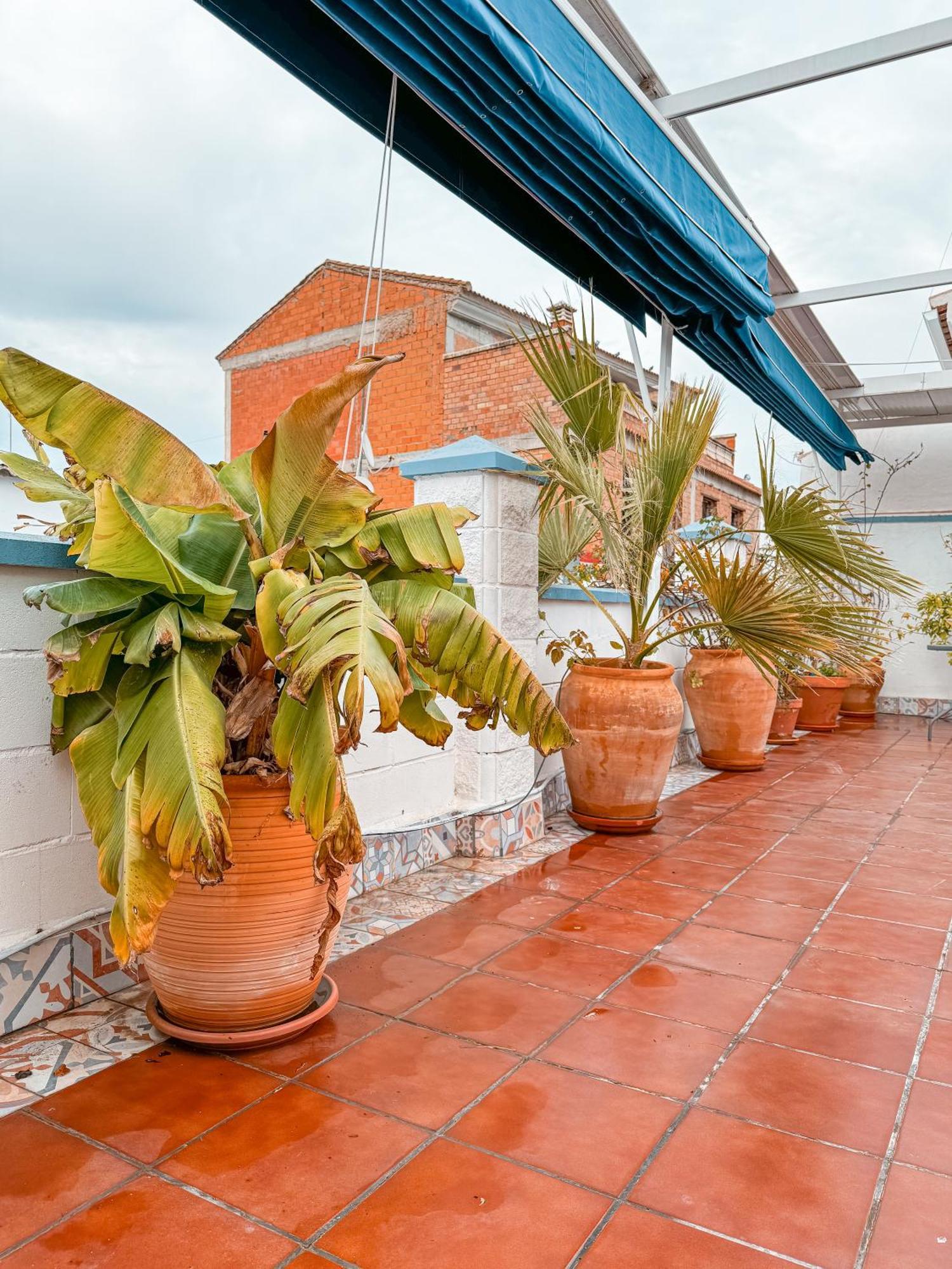 Casa Cruz Villa Almodovar del Rio Bagian luar foto